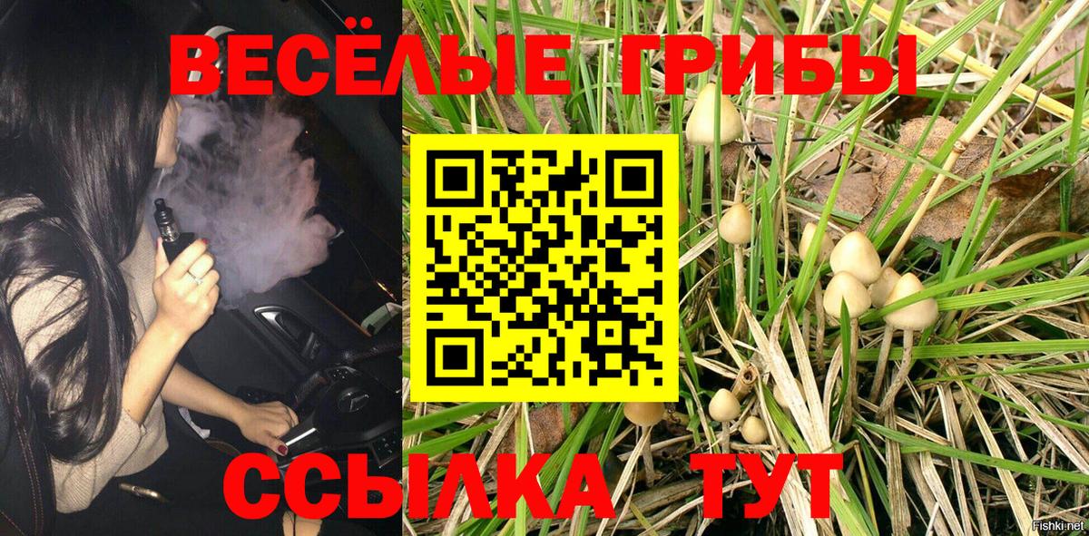Псилоцибиновые грибы Psilocybe Муром