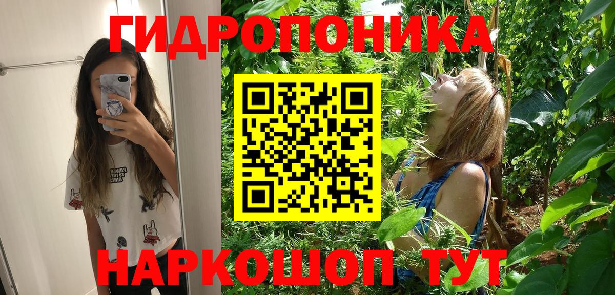 Конопля марихуана  Бошки марихуана THC 21%  Вход с VPN  Муром  Конопля план  Канабис семена 